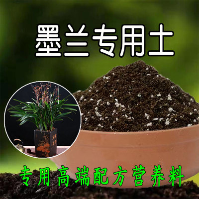 墨兰兰花专用土寒兰报岁兰土国兰建兰通用型营养土有机肥料腐殖土