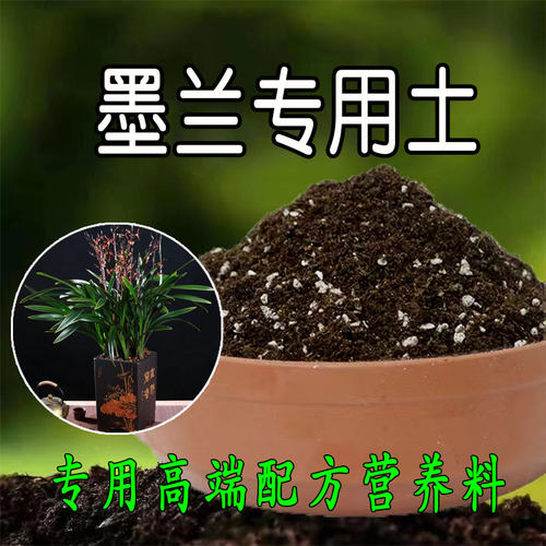 墨兰兰花专用土寒兰报岁兰土国兰建兰通用型营养土有机肥料腐殖土
