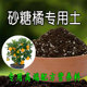 砂糖橘专用土水果树专用营养土盆栽养花种花土种植土有机肥腐殖土