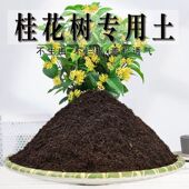 桂花树专用土桂花树专用营养土盆栽养花种植土壤肥料通用种花土培