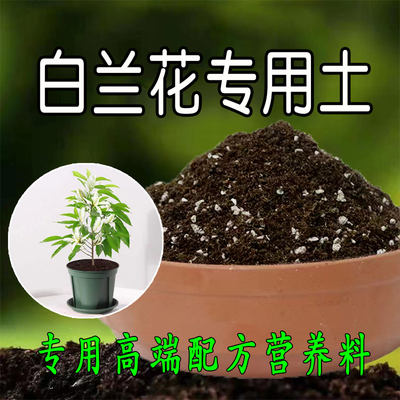 白兰花专用土腐殖营养土养花通用泥土有机种植土花泥花卉专用土壤