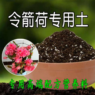 令箭荷花专用土酸性种植土蟹爪莲专用土养花嫁接蟹爪兰专用营养土