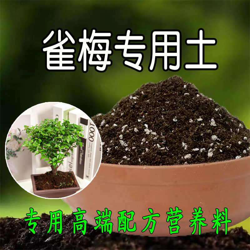 雀梅专用土长寿梅盆景盆栽营养土酸性土绿植种植土有机肥料腐殖土