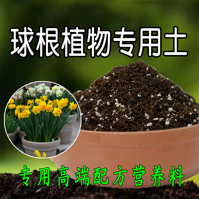 球根植物专用土营养土花盆郁金香朱顶红洋水仙种球通用有机腐殖