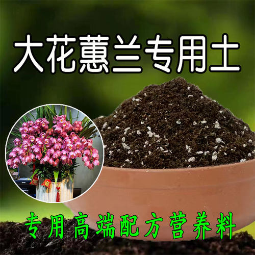 大花蕙兰专用土兰科植料通用型营养土兰花种植土盆栽有机腐殖土