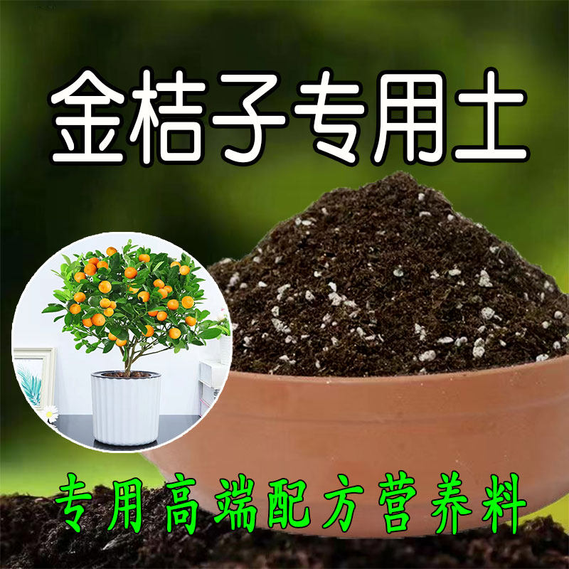 金桔专用土 金桔种植土壤专用营养土家用盆栽种花养花有机土肥料
