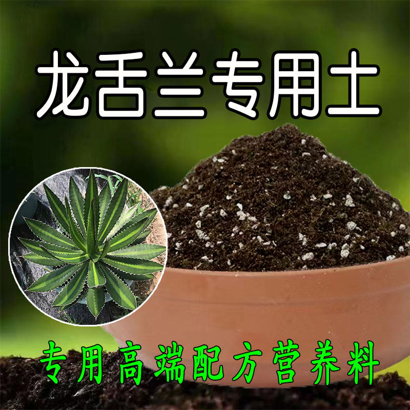 龙舌兰专用土兰花营养土兰花专用土兰花种植专用土兰草花有机土壤