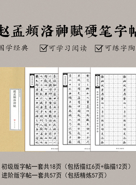 硬钢笔临摹赵孟頫行楷书洛神赋字练字帖硬笔字帖名家临摹入门字帖