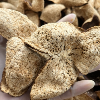 2018年正宗新会梅江陈皮500克装纯干仓自然陈放新会老陈皮冬至皮