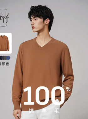 春竹100%绵羊毛V领羊毛衫长袖针织商务休闲套头保暖上衣毛衣男