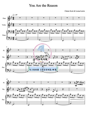 You Are the Reason 长笛小提琴钢三重奏 总谱 分谱 示范音频 MP3