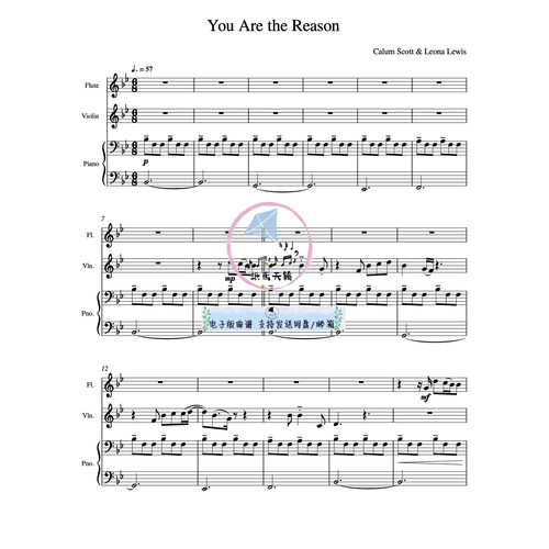 You Are the Reason 长笛小提琴钢三重奏 总谱 分谱 示范音频 MP3