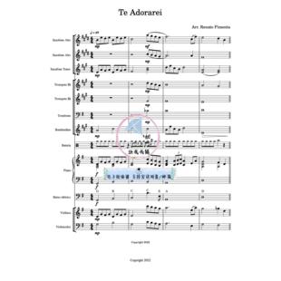 我爱慕你 巴西福音赞美诗 管弦乐+钢琴 总谱 分谱 MP3