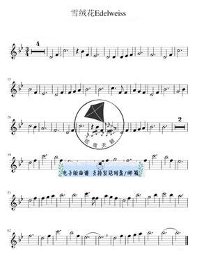 雪绒花 Edelweiss 小提琴谱 五线谱1页 附赠伴奏音频 MP3