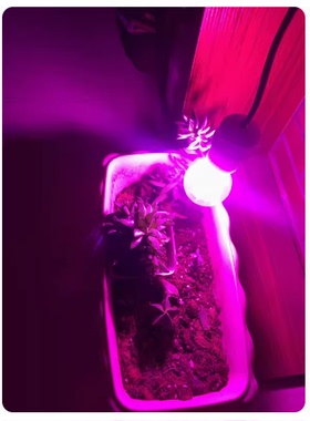 LED 8w植物灯 全光谱220V生长灯 红色 紫色 红紫色 多肉 花卉E27