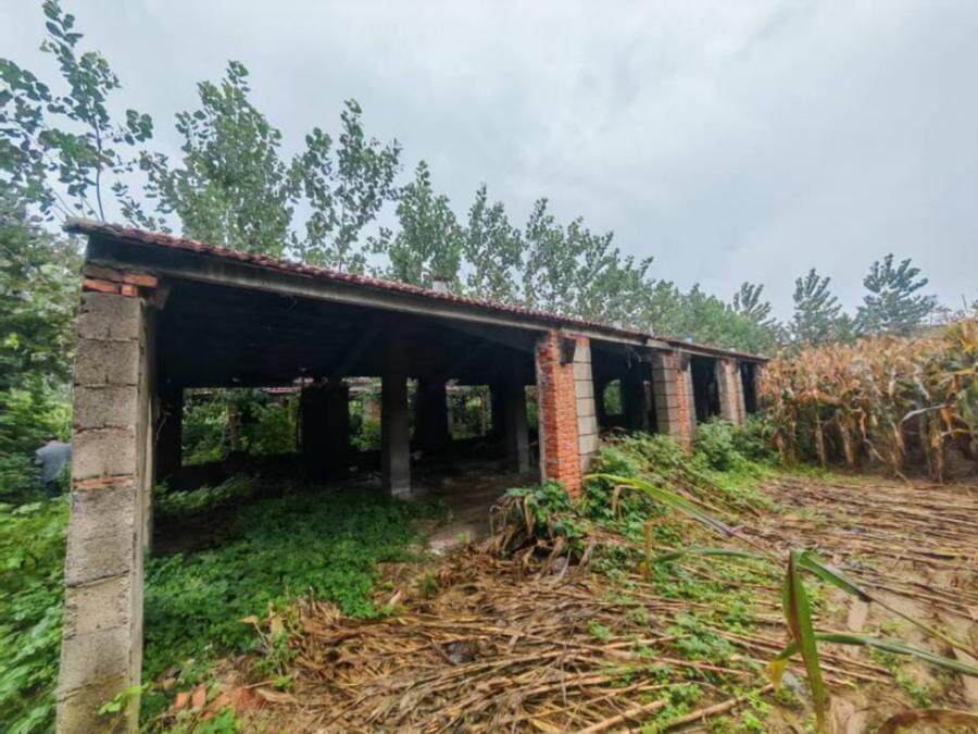 3月13日徐州养鸡场内养鸡棚及养鸡场内的地面附着物网络拍卖公告