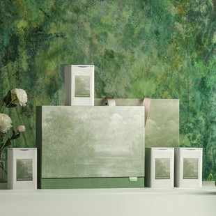 高档绿茶包装西湖明前龙井碧螺春黄山毛峰空礼盒定制包装礼盒定制