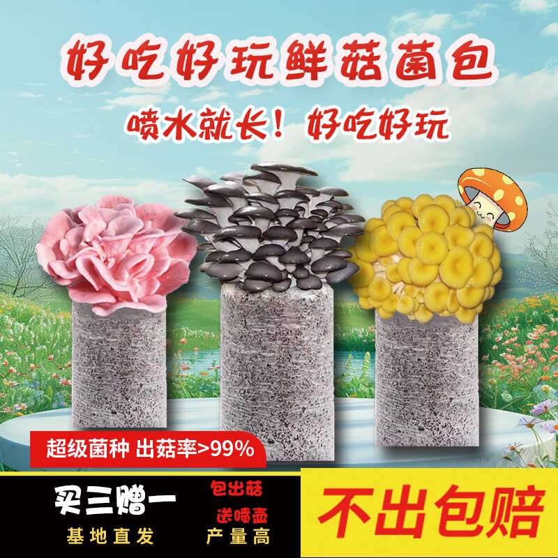 简单种植平菇金针菇秀珍菇