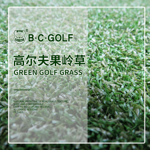 BCGOLF果岭草高尔夫防真草皮球场室内室外草golf运动草坪加密假草
