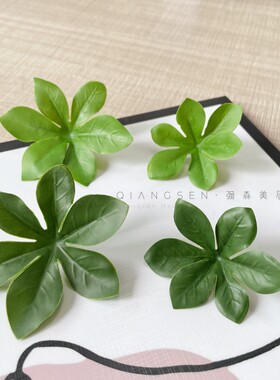 单片吊钟叶多种选择价格实惠