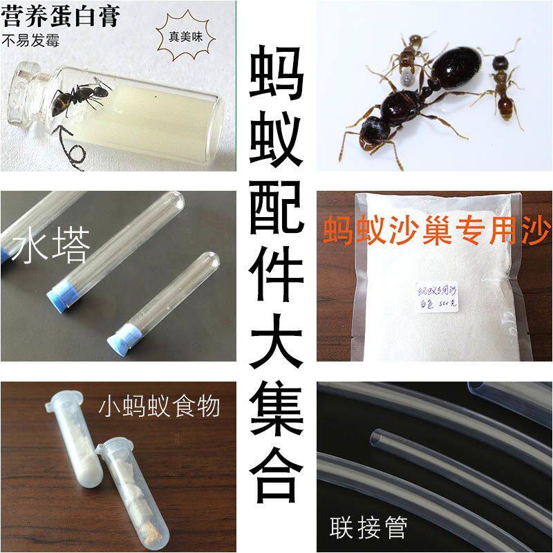 蚂蚁城堡配件/蚁粮/沙子/水塔/饲料 蚂蚁工坊生态箱大型