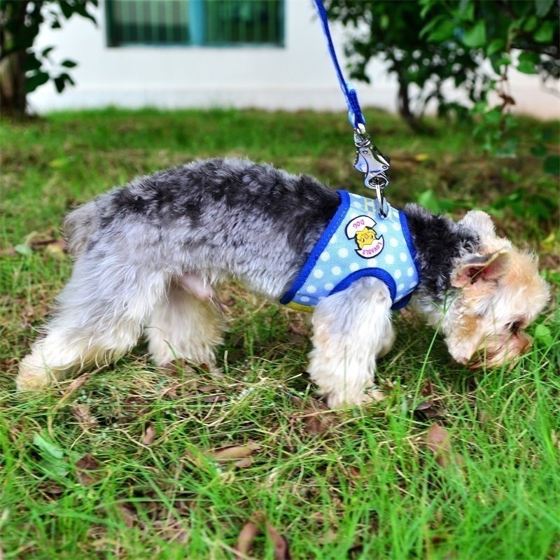 道格透气保护型胸背栓狗绳牵引绳幼犬泰迪比熊狗绳小型犬