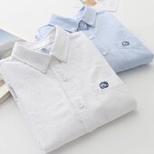 2024春装 百搭基本打底休闲衬衫 韩版 简约文艺纯棉牛津纺衬衣女长袖