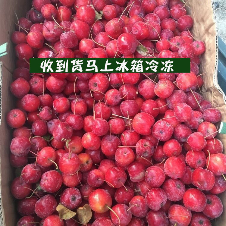 花红果冷冻东北酸甜零食