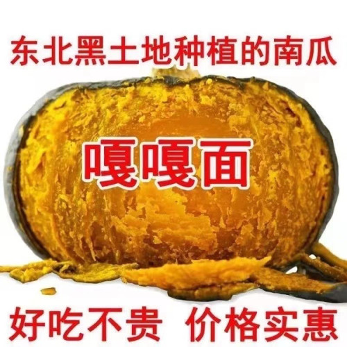 正宗东北窝瓜谢花面农家新鲜蔬菜新鲜板栗味粉糯包邮