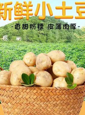 新鲜正宗黑龙江小土豆现挖小土豆东北黄心小个洋芋迷你马铃薯蔬菜