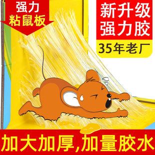 超强力粘鼠板捉粘大老鼠贴沾胶神灭捕鼠神器强力正品 家用一窝端