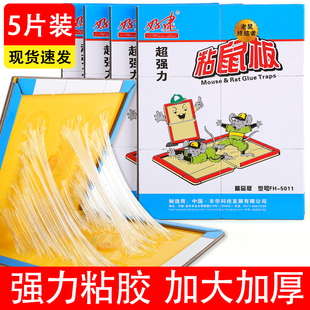 5011 5张 好逮家用驱鼠器黏鼠板粘鼠板胶水老鼠贴强力捕鼠