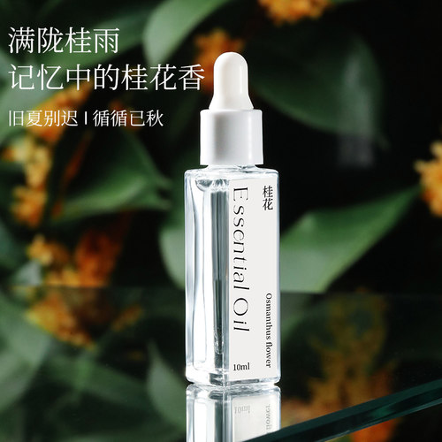 香薰精油加湿器车载专用水溶性栀子花桂花香氛扩香石家用室内持久
