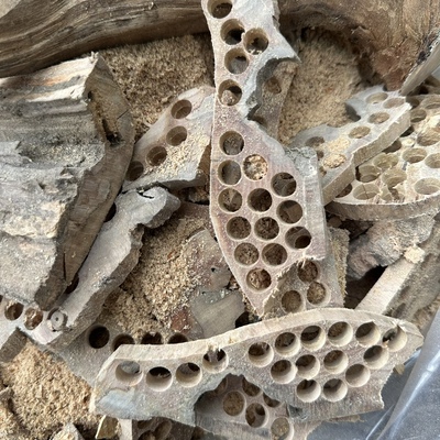 海南种植白檀香木珠子熏香料珠子下角熏香中药材香合用做工艺品