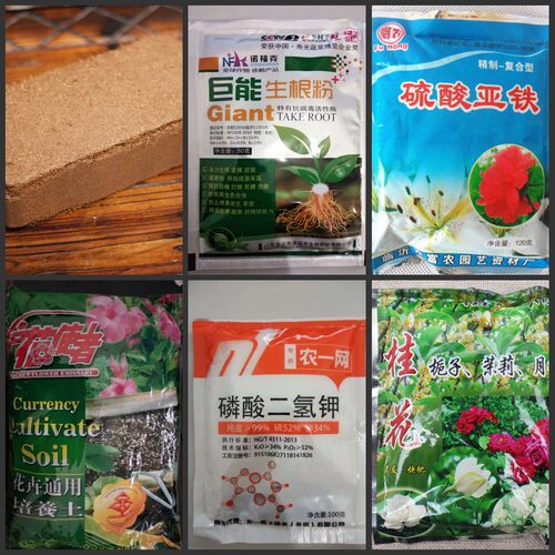 椰砖有机养花肥料营养土园艺综合生根粉肥料大肥王撒水壶. - 封面
