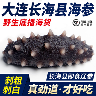 大连鲜食海参即食无污染深海辽刺参长海县底播特大冷蒸锁鲜5-15头