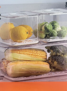 万佳宁冰箱收纳盒厨房沥水果蔬冷冻塑料储物盒神器食品整理保鲜盒