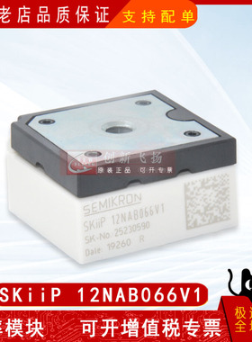 SKIIP12NAB065V1/SKIIP12NAB066V1全新原装IGBT可控硅功率模块