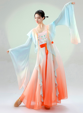 夏辉女儿情同款古典舞古风纱衣连衣裙飘逸仙气身韵练功演出服装女