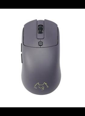 现货正品VAXEE XE-S/NP01SW V2/ np01s ergo双模 游戏工学鼠标