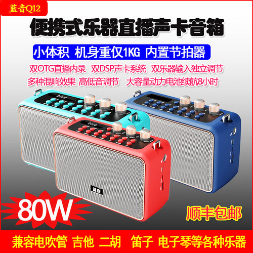 蓝音音箱电吹管乐器专用户外直播