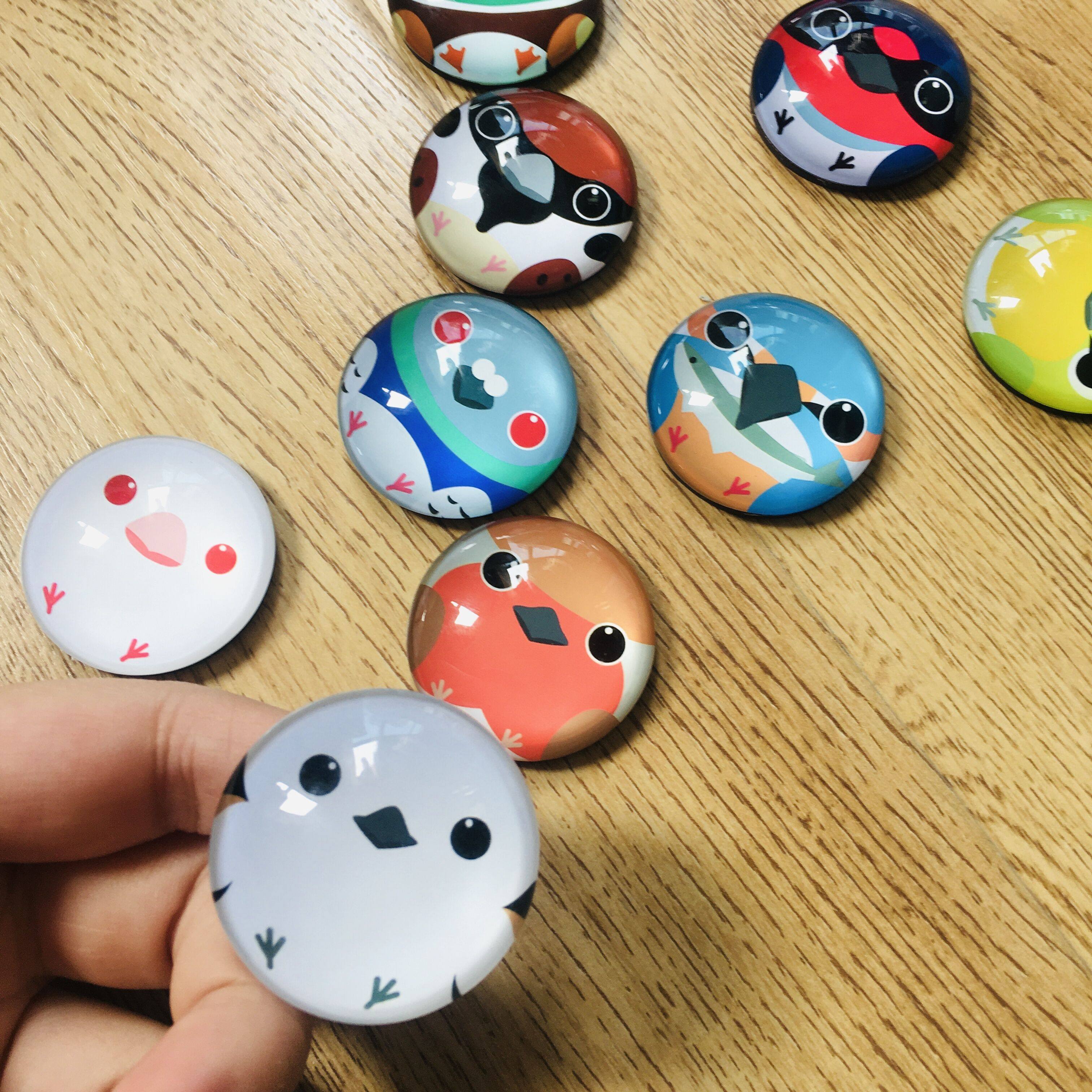 原创鸟球水晶超透冰箱贴  银喉长尾山雀北长尾山雀翠鸟鸽子红胸鸲