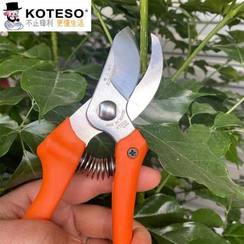 KOTESO老人头KT826修枝剪剪树枝园艺修花枝剪园林省力修剪枝剪刀