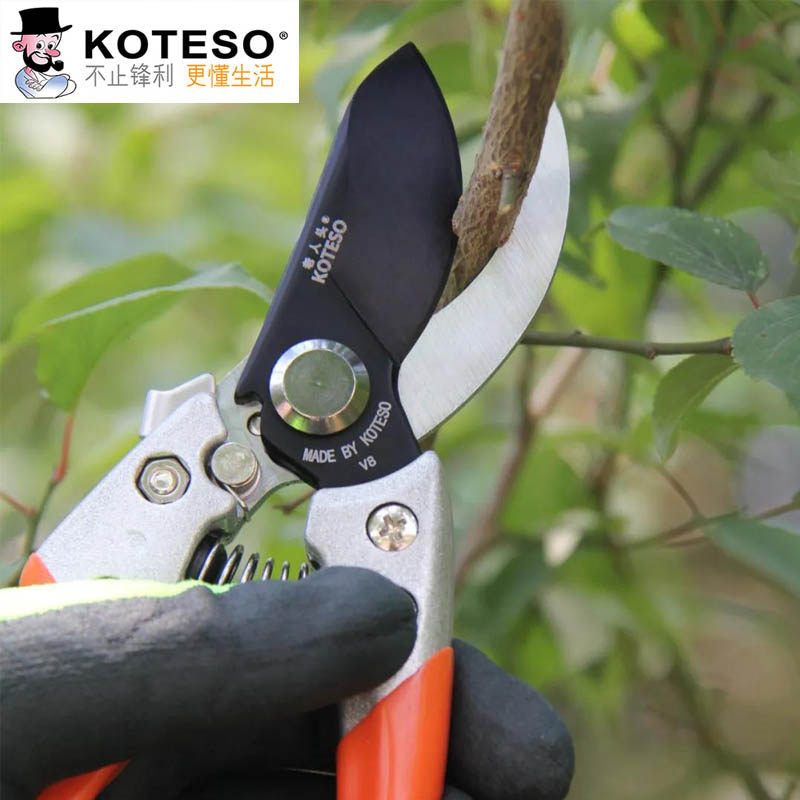 KOTESO老人头工具新款修枝剪图片