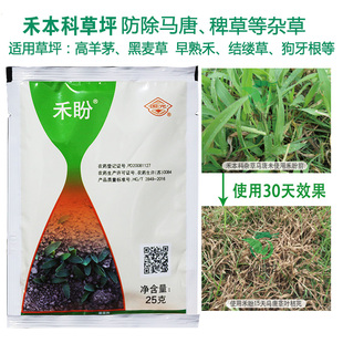 草坪除草剂国光禾盼二氯奎啉酸高羊茅早熟禾黑麦草除马唐稗草农药