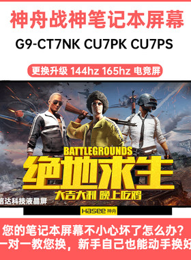 神舟 战神G9-CT7NK CU7PK CU7PS内显示液晶屏幕高刷144HZ