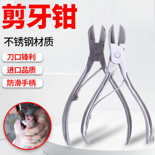兽用不锈钢剪牙钳，小猪宠物兔豚