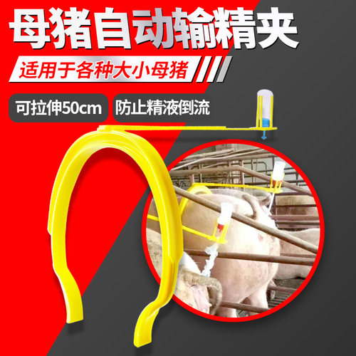 猪人工授精输精管支架/自动输精
