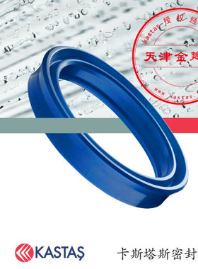 K21原装进口UN轴孔通用油封卡斯塔斯KASTAS密封圈件油封液压气动