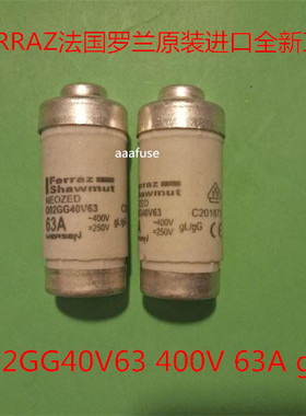 D02GG40V63 熔断器保险丝陶瓷Ferraz法国法雷原装 63A 400V 全新